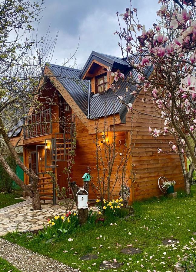 Blue Village 8 Kolašin Kültér fotó