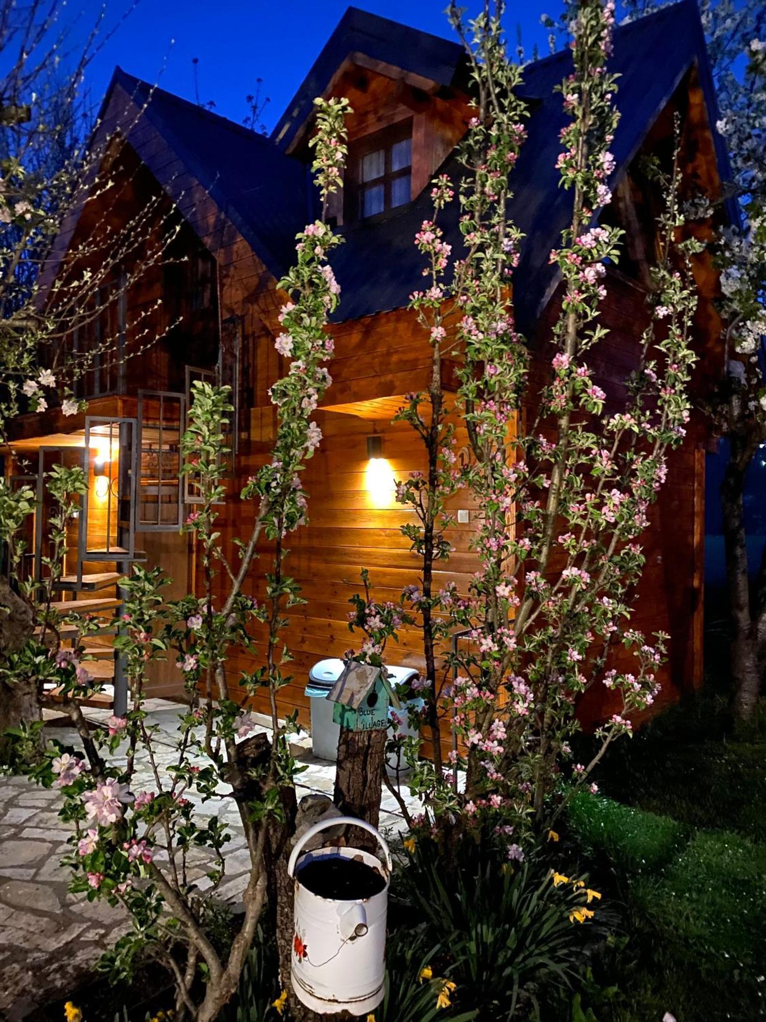 Blue Village 8 Kolašin Kültér fotó